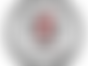 Badge design with a red lightning bolt, black gear, and a wave. Text: "PHYSICS: BEYOND FORMULAS," "MECHANICS ELECTRAMAGITISIM," "MULTI-CONCEPT QUESTIONS."