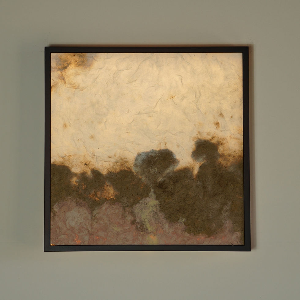 WP-002-DB / WP-002-PW