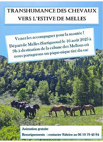 Chevaux.jpg