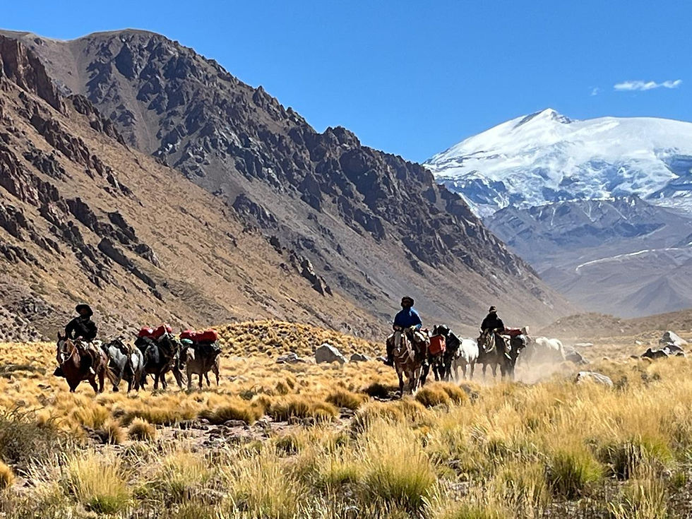 La grande traversée des Andes (Argentine et Chili)