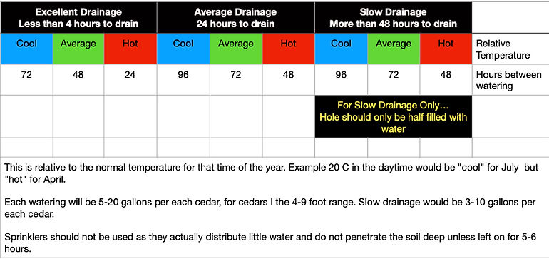 watering table.jpg