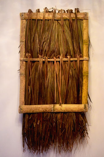 palmicha 7.jpg