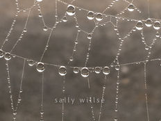 photography, water, ice, raindrops, abstracts
