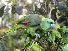 Photography, Costa Rico, tourism, copyrighted