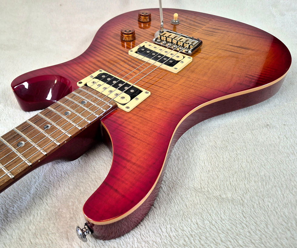 Thumbnail: 2005 PRS SE Custom 22