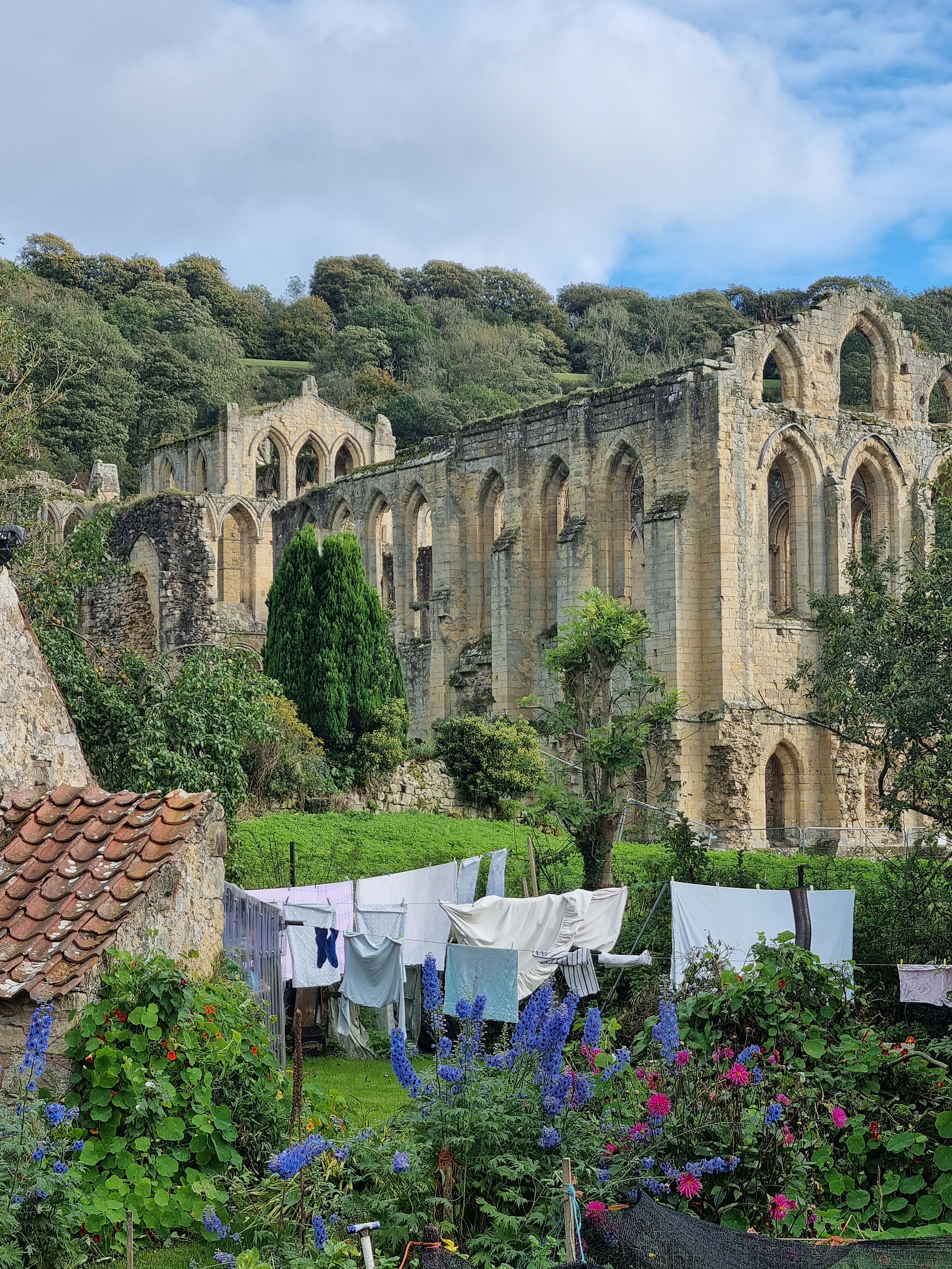 North Yorkshire Moors: Rievaulx