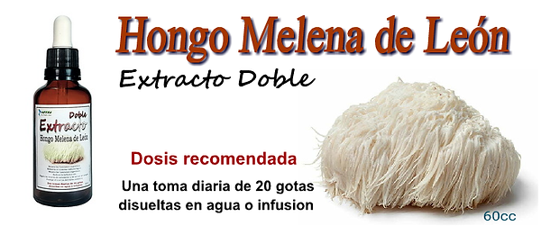 WIX Melena de Leon.png