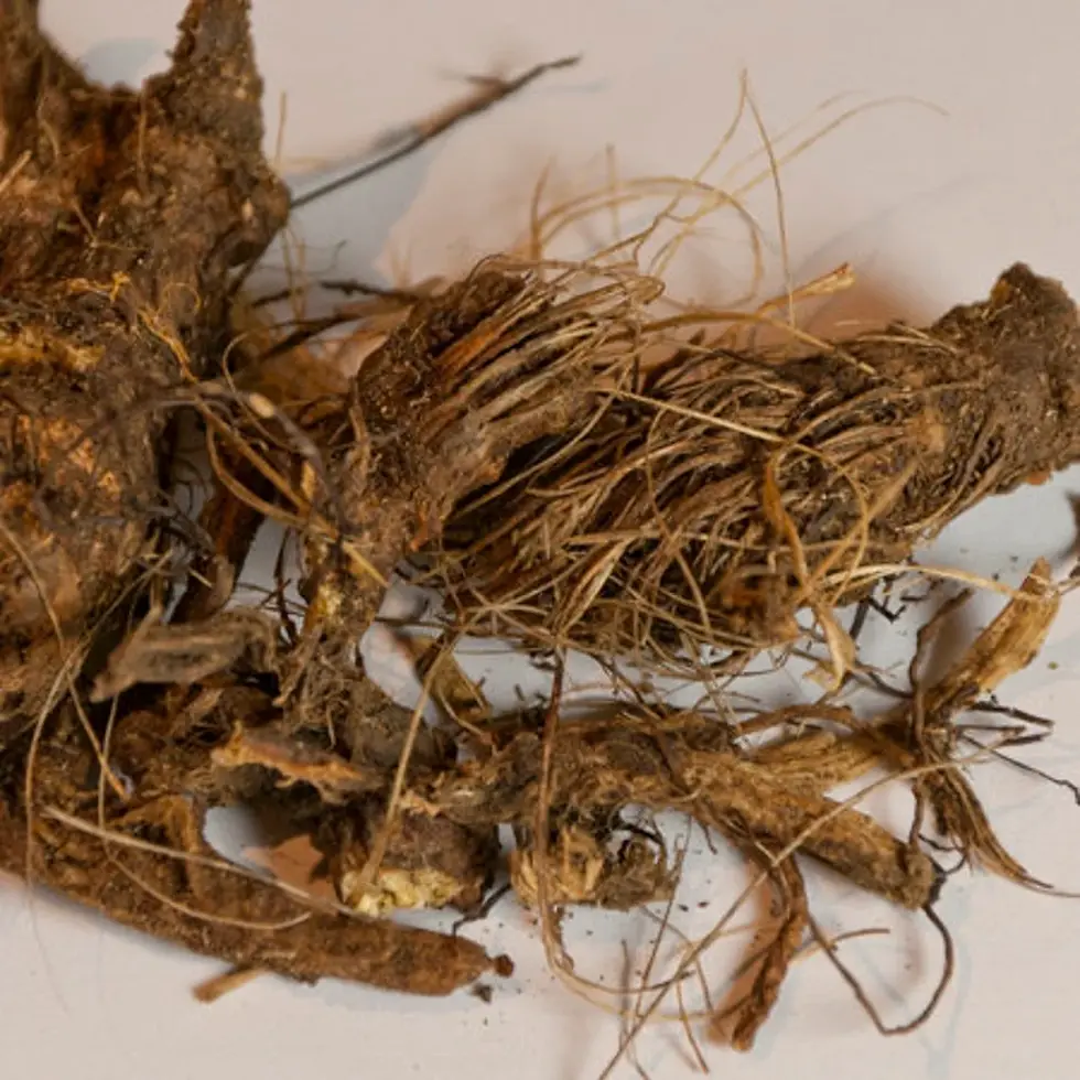 Thumbnail: Close-up of dried roots, providing detail and texture on a white surface.