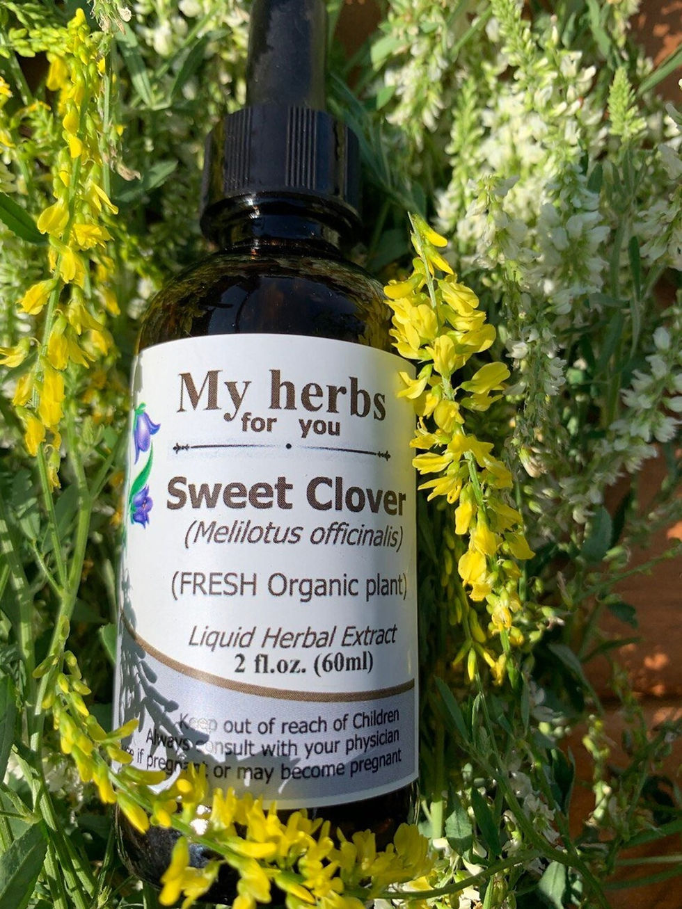 CLOVER, SWEET Tincture, Organic