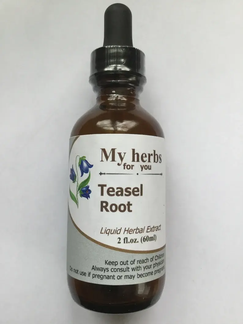 Thumbnail: Bottle of My Herbs for You Teasel Root Liquid Herbal Extract, 2 fl oz.