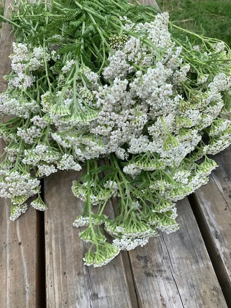 Thumbnail: White flowers bunch on wooden panels, fresh and green, natural background.