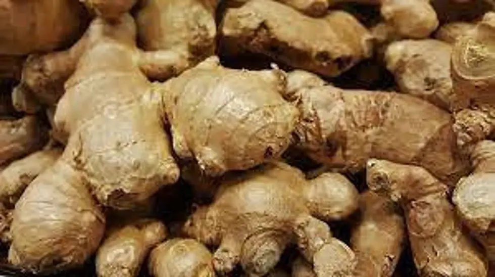 Thumbnail: Pile of fresh ginger root, brown in color, close up view