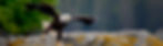 17-art-scale-1_25x.jpg