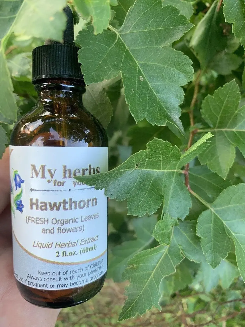 Thumbnail: Hawthorn liquid herbal extract bottle with visible text and green leaves background.