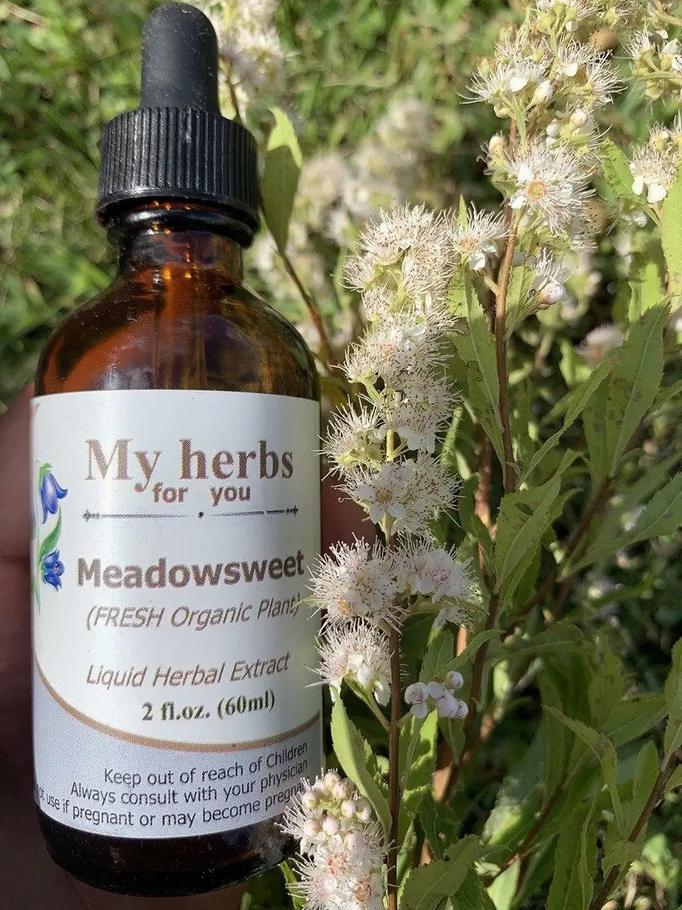 Thumbnail: My herbs for you Meadowsweet label next to fresh greenery background organic extract