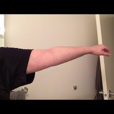 image17.jpeg