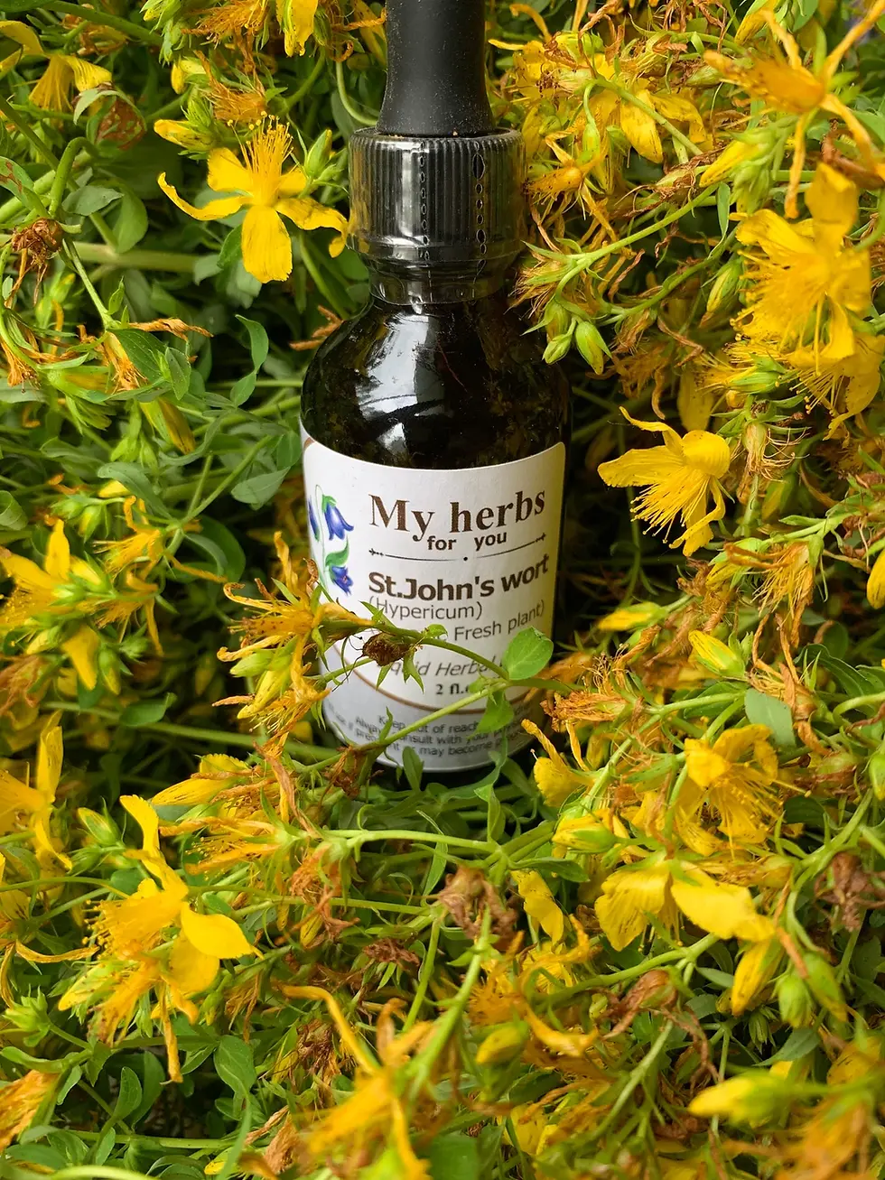 Thumbnail: My herbs for you St. John's wort tincture bottle surrounded by flowers and green.