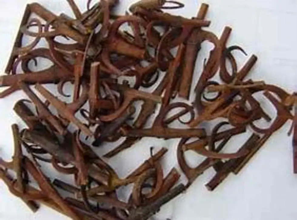 Thumbnail: Overhead shot of brown spice. The photograph contains many brown spices.