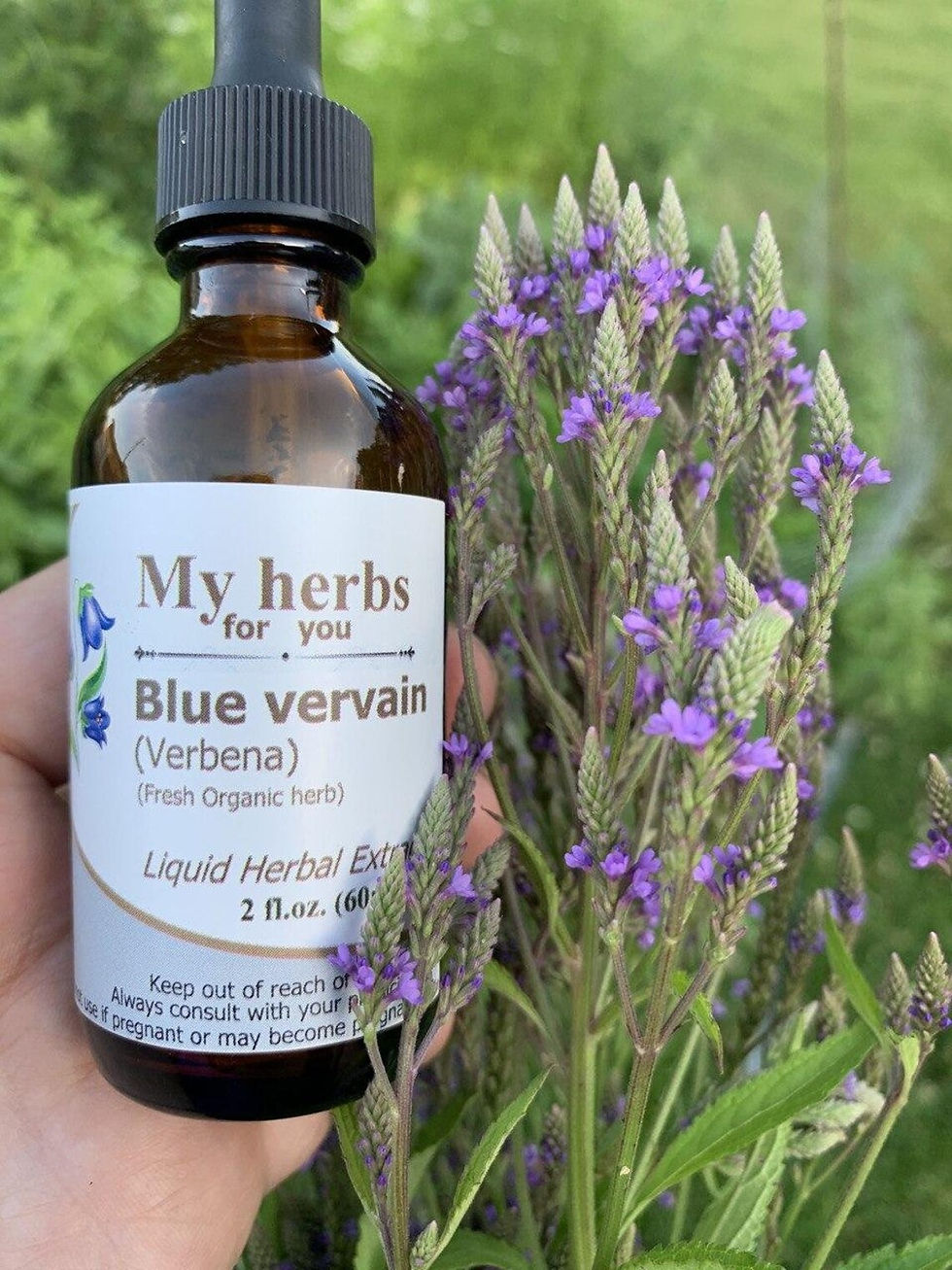 Thumbnail: My Herbs for you Blue vervain (Verbena) Liquid Herbal Extract with purple flowers.