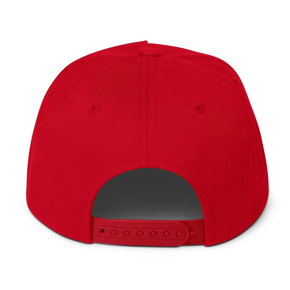 Thumbnail: Vanguardz Flat Bill Cap