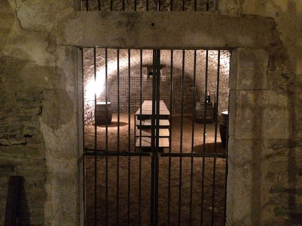 CAVE À VIN