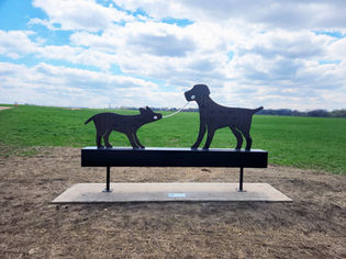 A custom sculpture of two dogs playing tug in Quann Park Dog Park in Madison, Wisconsin