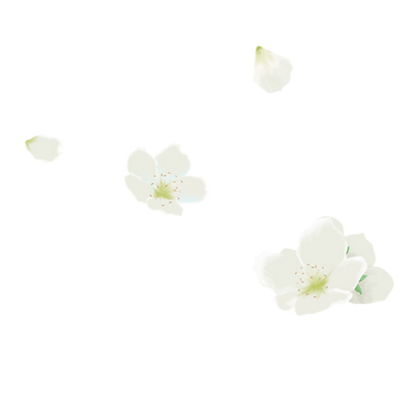 —Pngtree—white flower bloom element_4477386.png