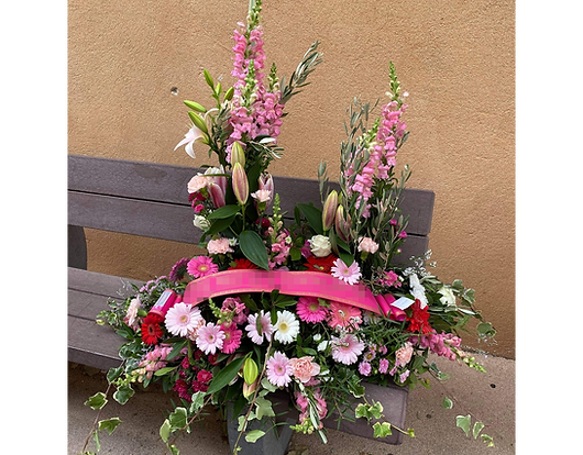 120572887_1673273766179846_8182023893429