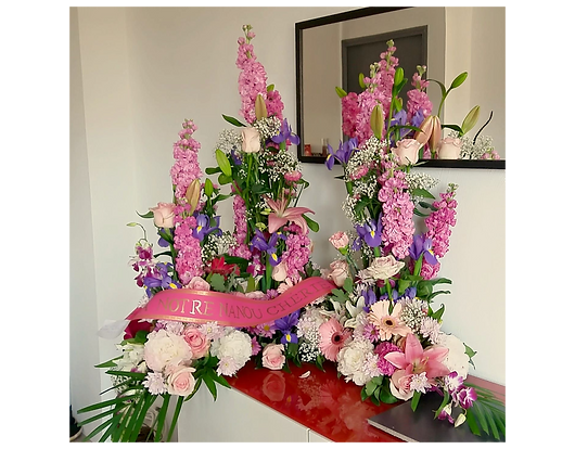 32215449_958150737692156_395445451488231