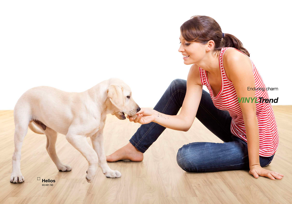 Screen Shot 2023-03-24 at 5.49.34 PM.png