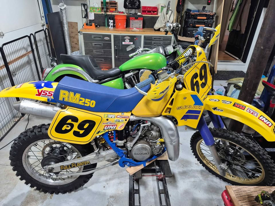 Miniatura: Suzuki RM250 de 1985