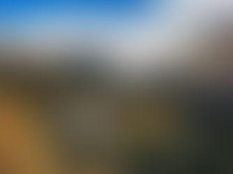 Lethbridge Herald: A better tomorrow starting today