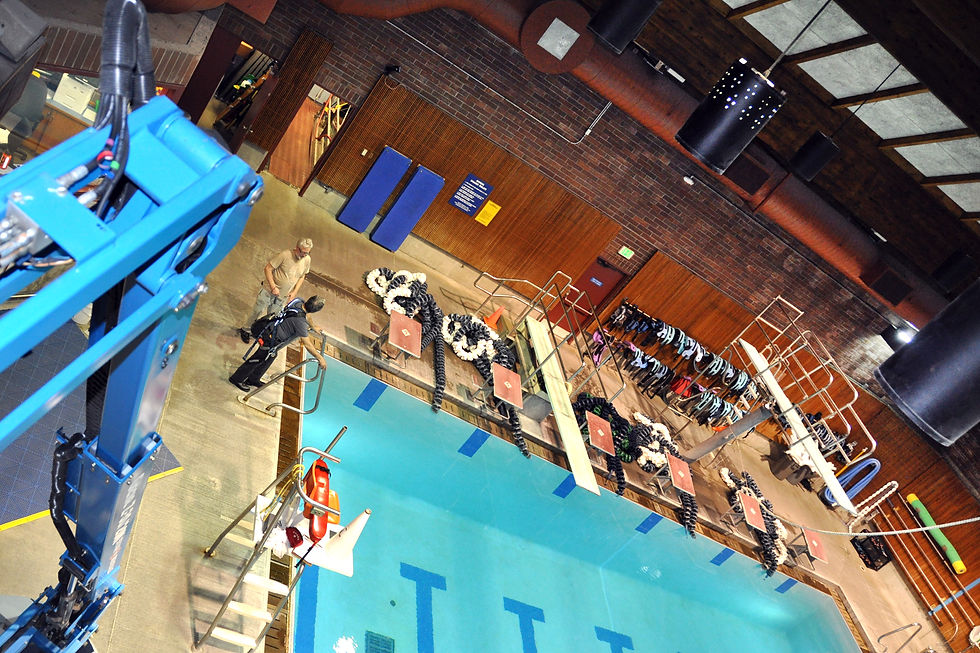 QUEEN ANNE POOL