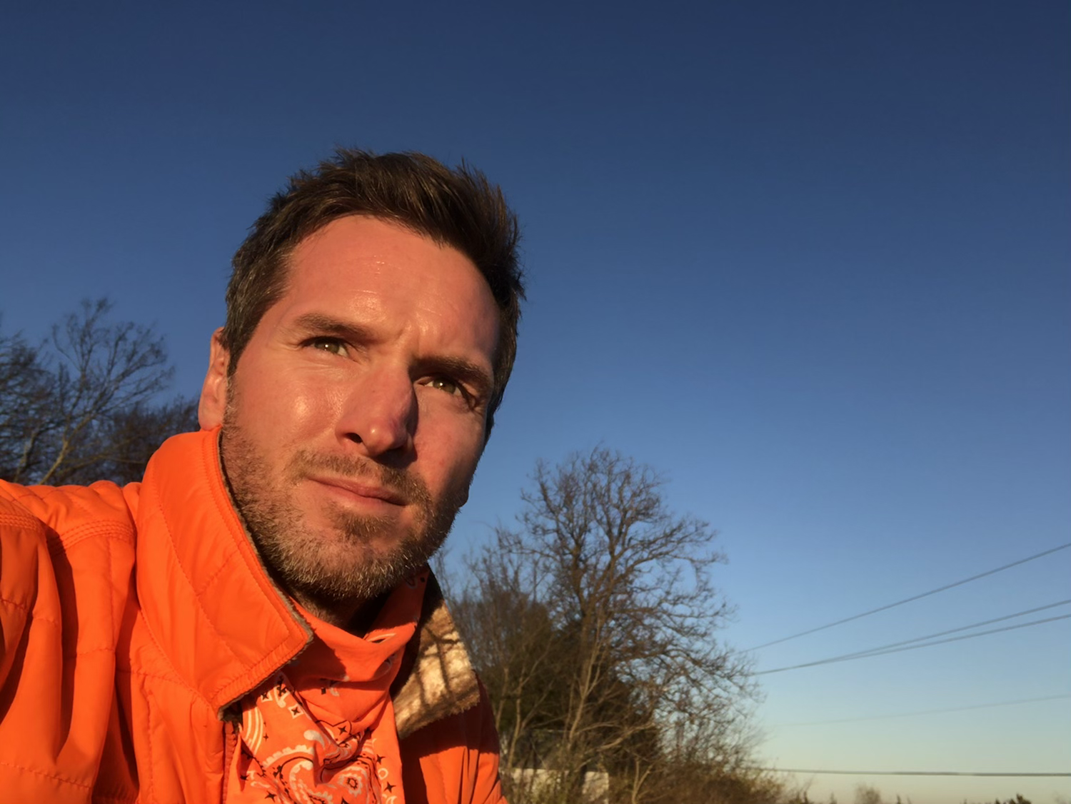 Writer: Hampton Young