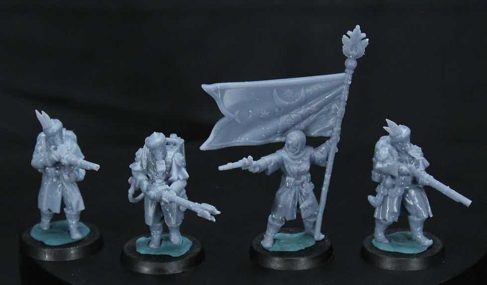 Thumbnail: The Sultanate of the Iron Wall - Warband box