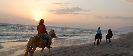 horse riding sunrise.jpeg