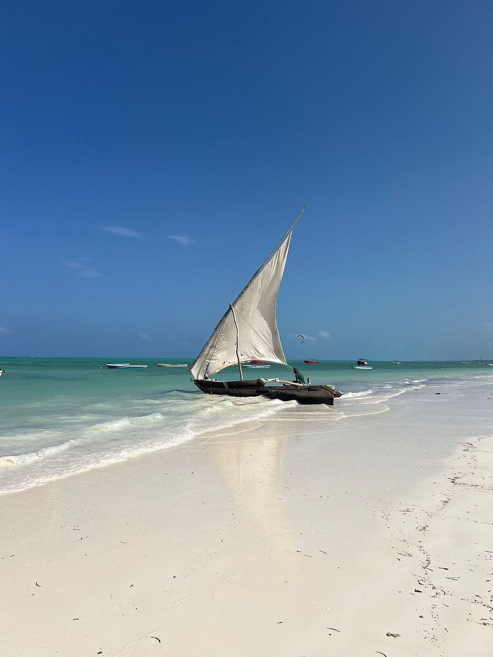 Traditional dhow sailboat on Paje beach, Zanzibar