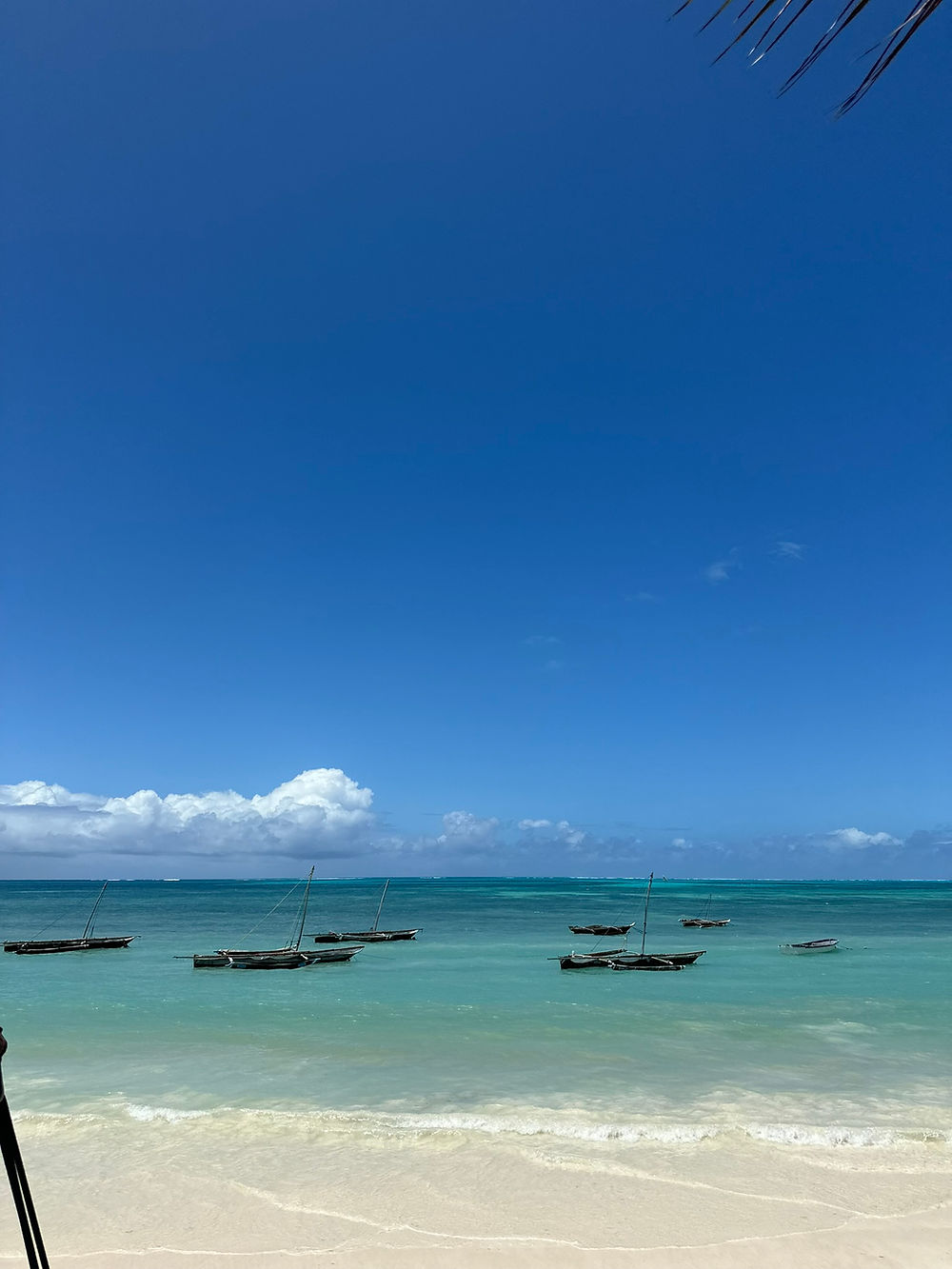 Boats on turquoise water at Paje Zanzibar beach