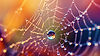 AdobeStock_726918629.jpeg
