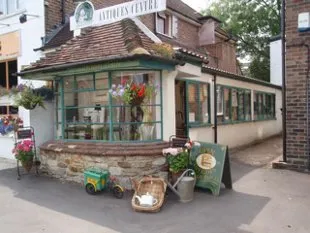 The Dandelion Clock Antique Centre