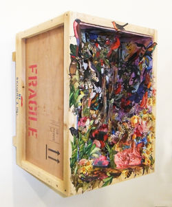 Box Forest (side)