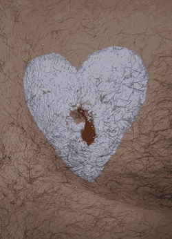 Every American Has Two Hearts