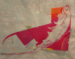 Taraxacum Officinale V005