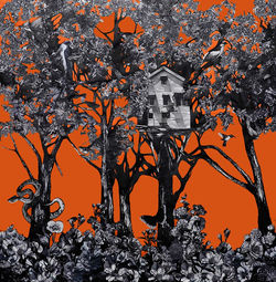 Orange Forest