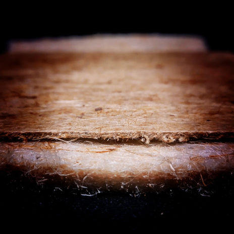 MeSentia_Layer