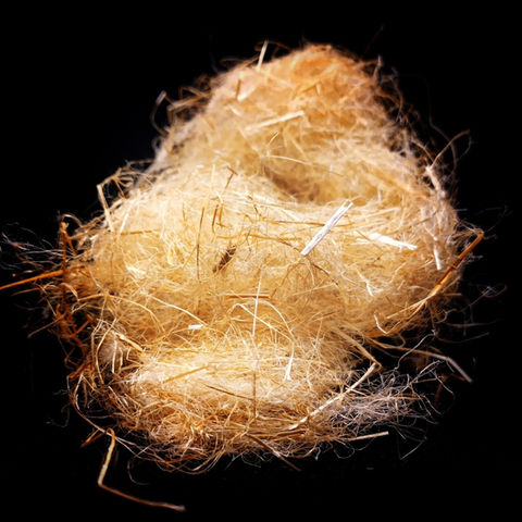 MeSentia_Fiber