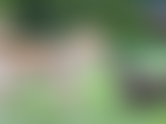 Pleasant, and Not So Odd After all