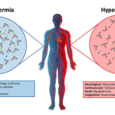 Too Hot or Too Cold? How the Body Responds to Extreme Temperatures