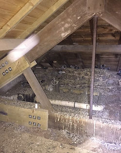 Screenshot 2025-12-04 at 16.24.12.png