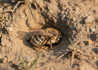 Screenshot 2025-11-25 at 14.41.52.png